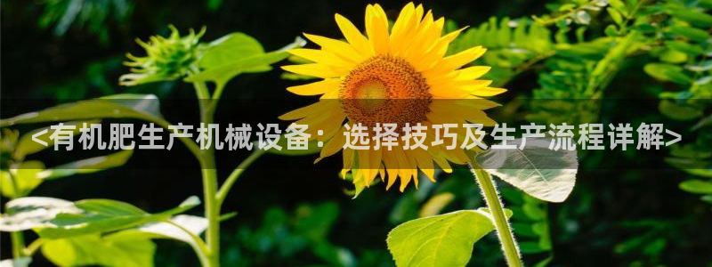 J9九游会国际站