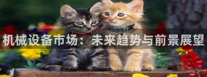 九游会老哥俱乐部官方网站