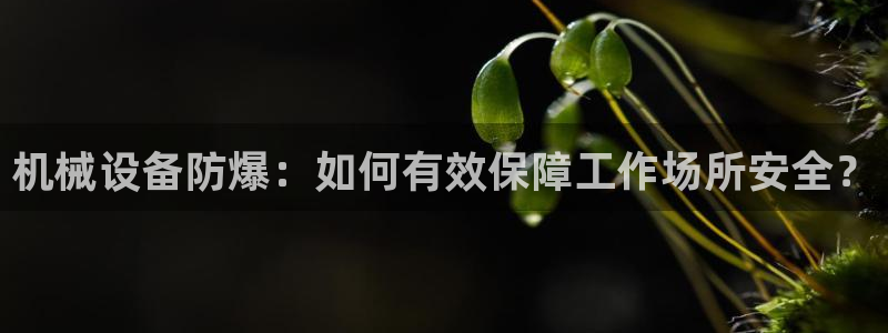 ag老队友