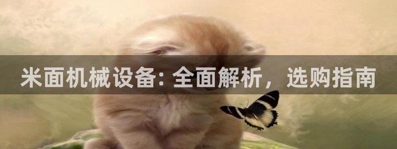 九游会官网站