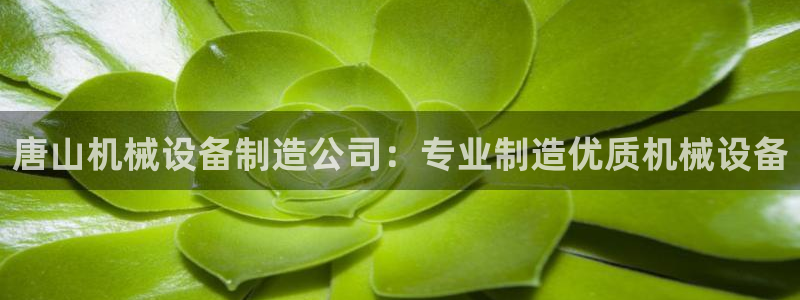 j9九游会会员日
