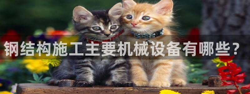 九游会在