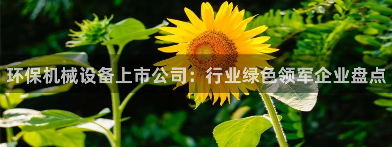 九游j9