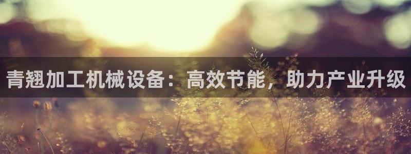 J9九游会老网站