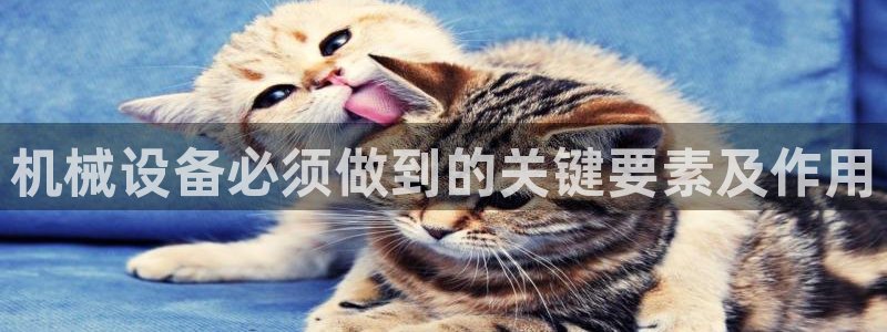 九游会平台网址