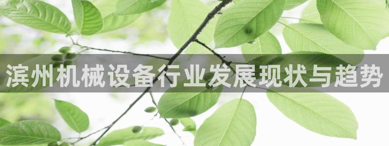ag九游会官网网址
