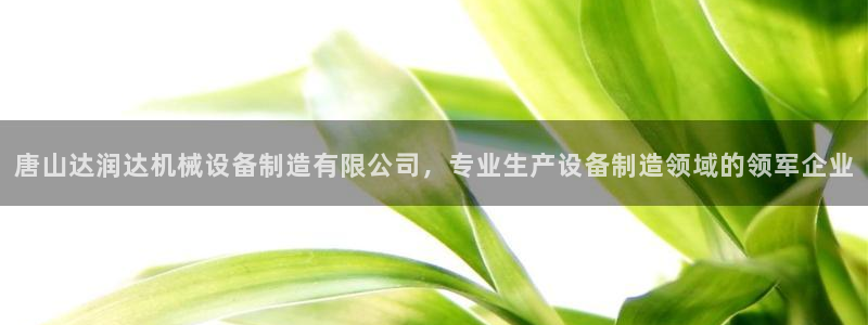 j9九游会官方网站国际怎么样