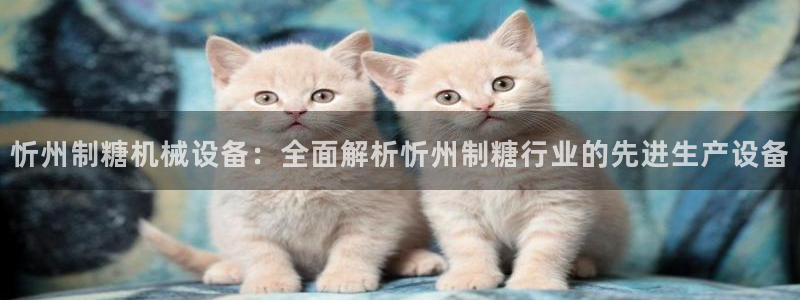 九游会大家觉得怎么样