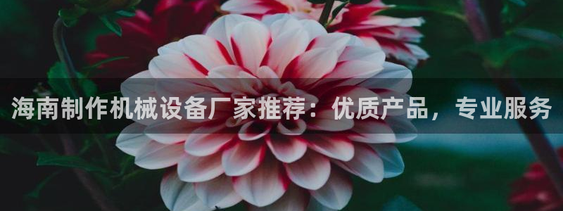 j9九游会app官方下载