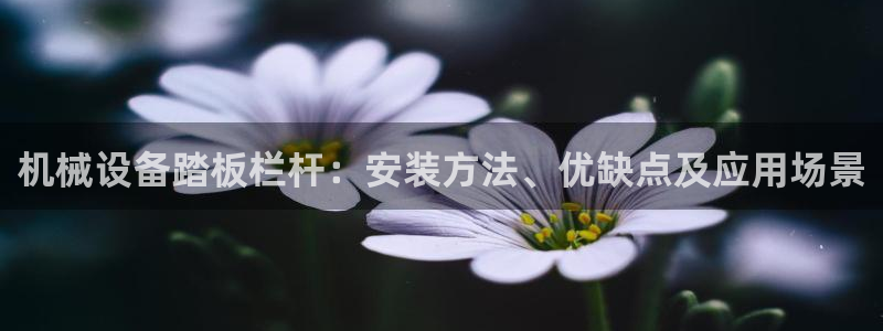 九游会ag老哥俱乐部入口