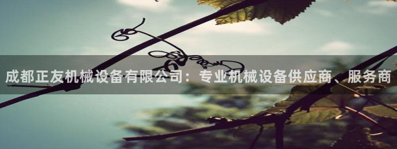 九游会平台稳定吗