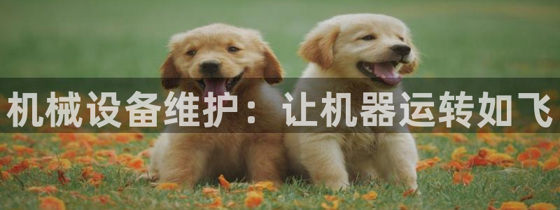 九游会ag318