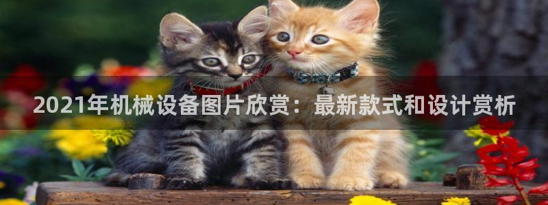 九游j9
