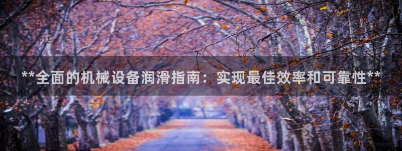 九游会进不去了