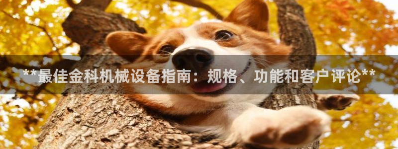 九游会老哥必备的交流社区