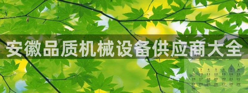 九游会ag官方网站在哪