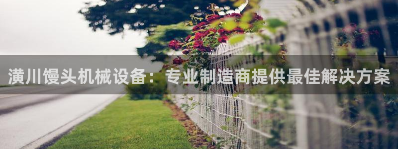 九游会中国入口