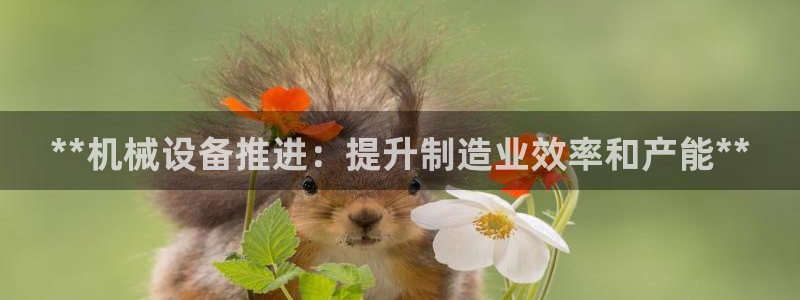 J9九游会是干嘛的