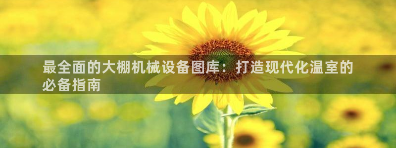 九游会官网老哥俱乐部