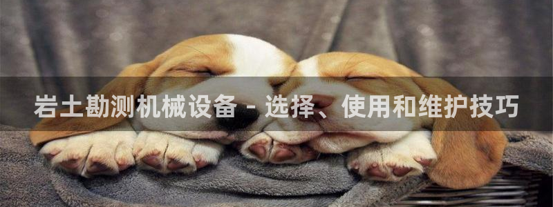 九游会集团国际