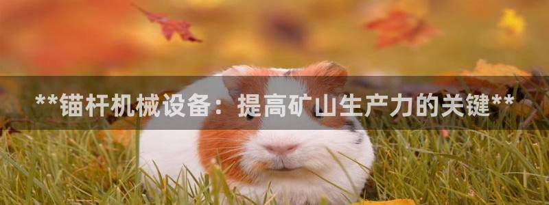 九游会集团货币