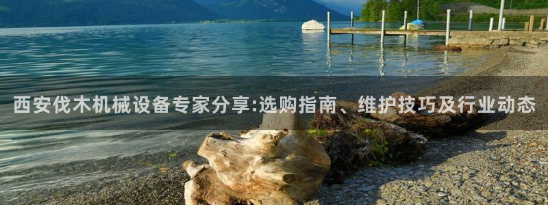 九游会关服吗