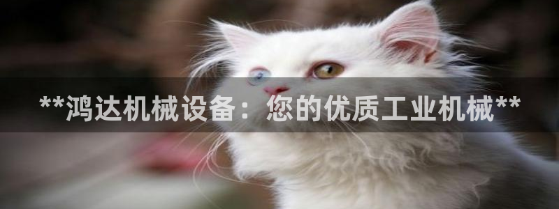 j9九游会游戏中国官方网站
