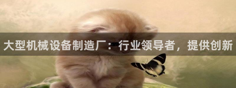 j9九游会官方网站国际