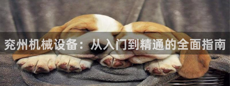 九游会首页进入