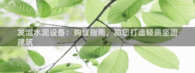 j9九游会ag私享