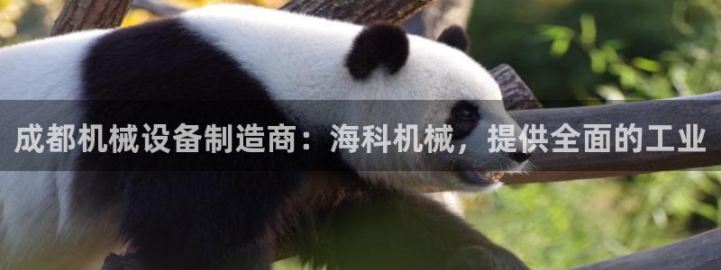 九游会进不去了