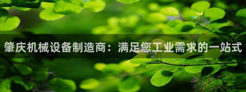 j9p下载