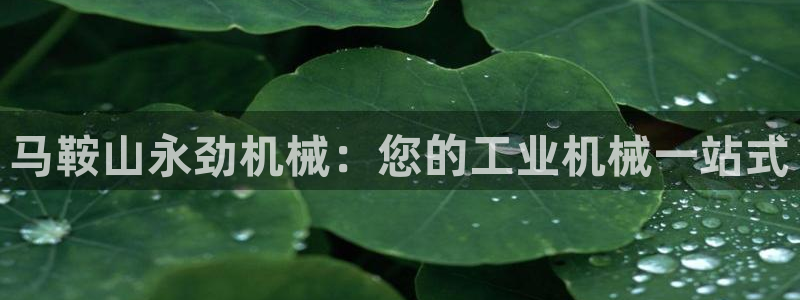 九游会可以提现吗