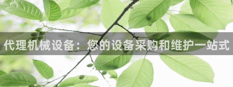ag九游会微博