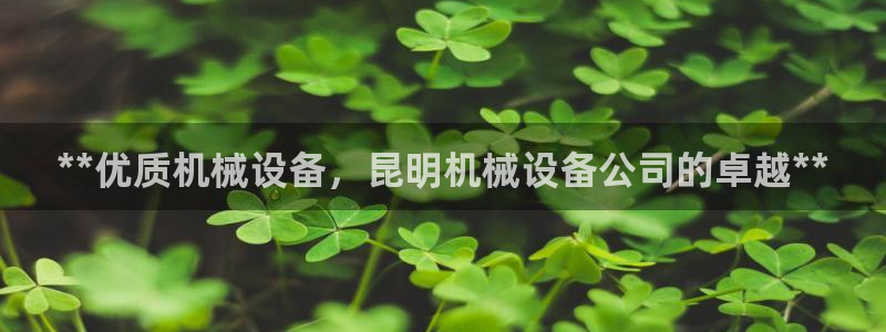 九游会平台王一博泰国