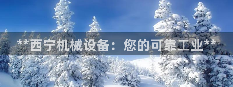 j9九游会vip