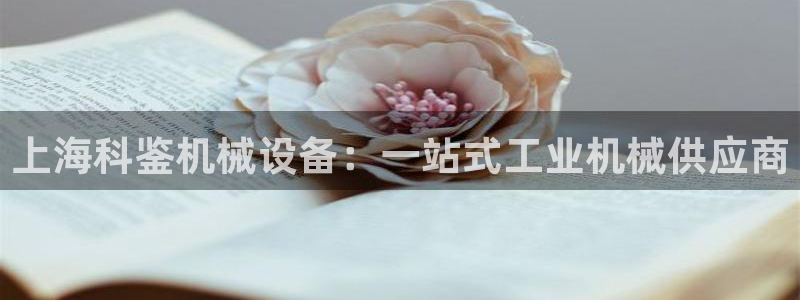 九游会ag真人官网
