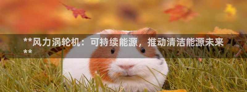 九游会ag真人官网在哪