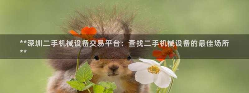 九游会平台怎么样