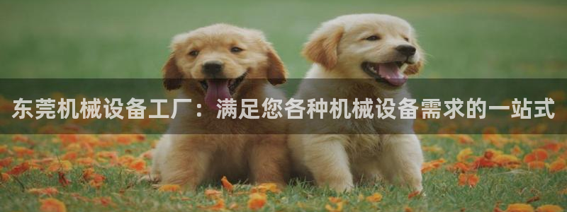 usdt九游会老哥俱乐部