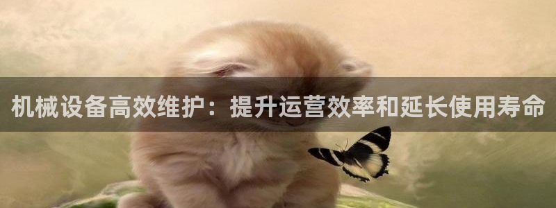 J9九游会俱乐部官方