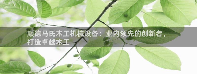 九游会官方选网址是j9.cm