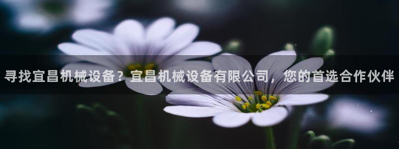 九游会这几天打不开了