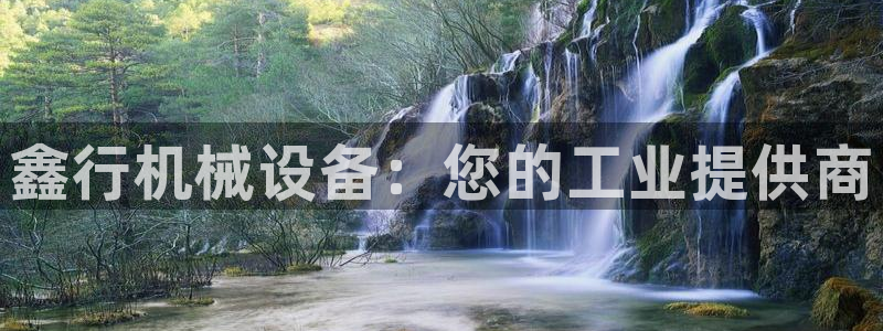 ag九游会论坛