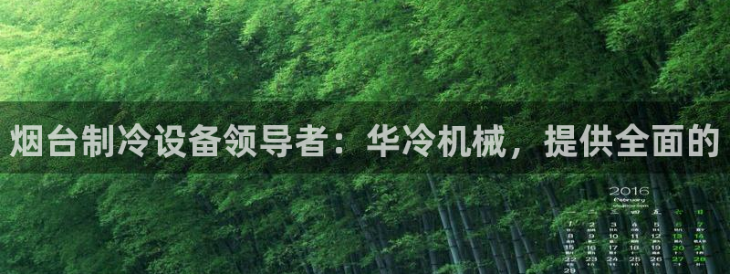 九游会j9