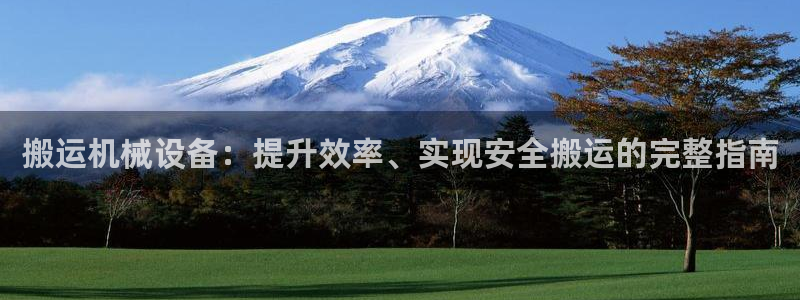 九游会官网进入口