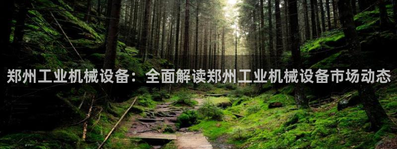 ag九游网