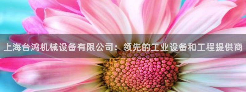 j9九游会真人手机版
