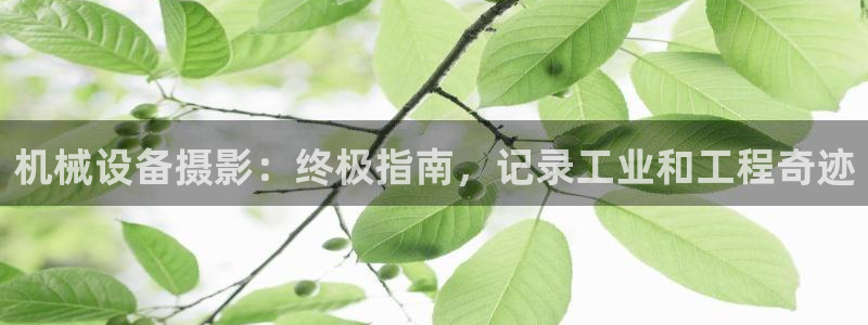 j9九游会入口j9