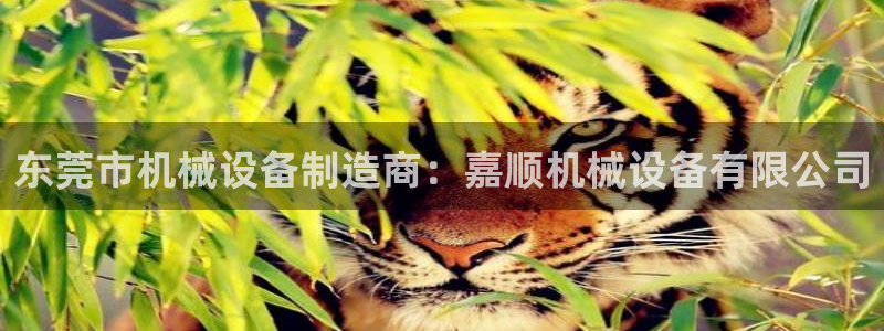 ag九游会老哥